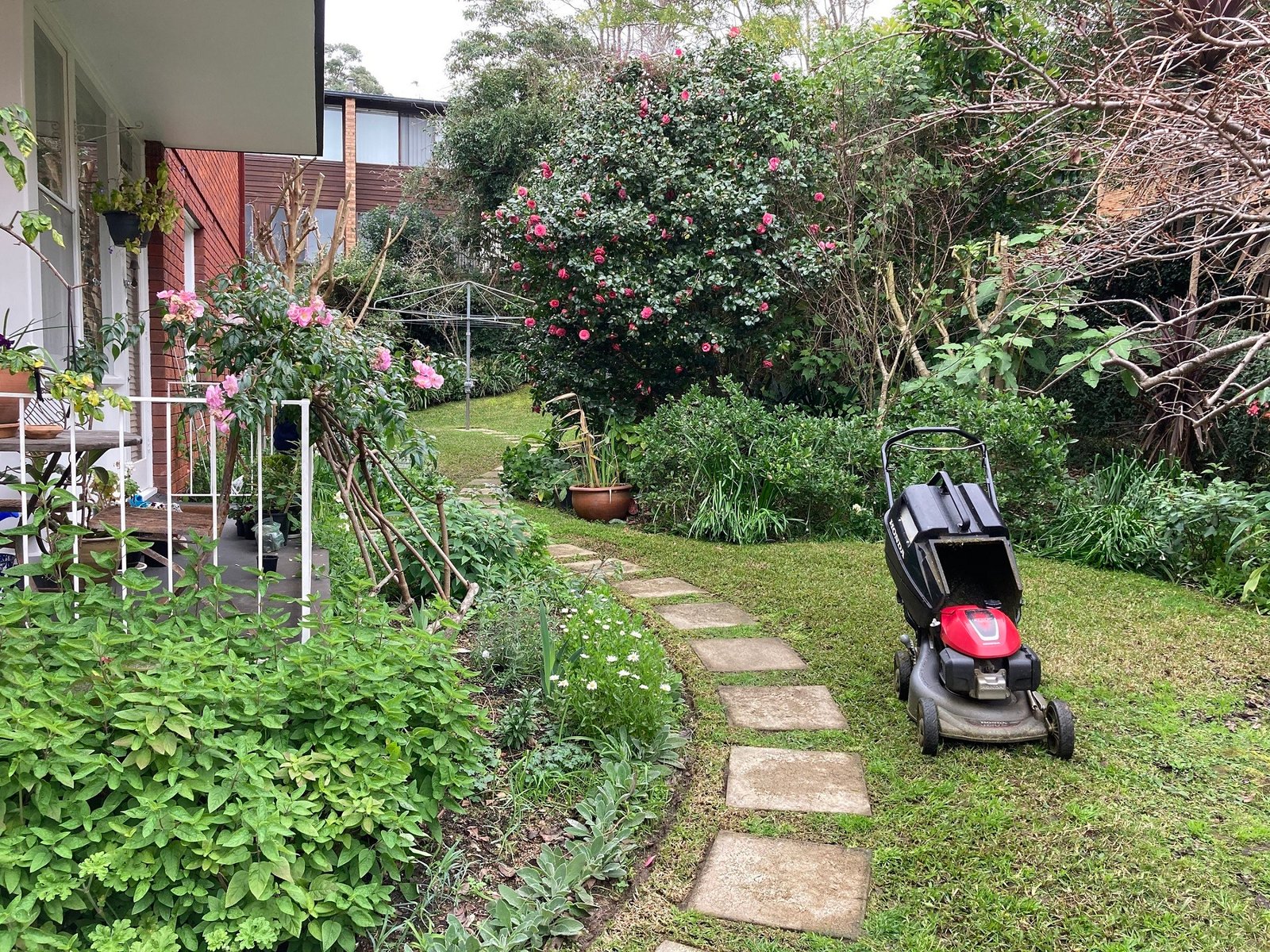 Strata gardening clean-up