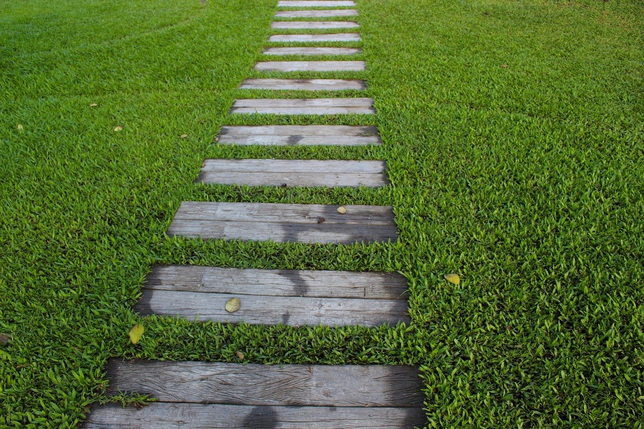 Garden path and tidy edges
