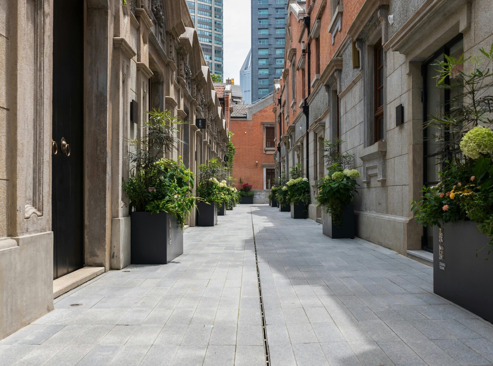 Strata gardening and hedge trimming in Sydney